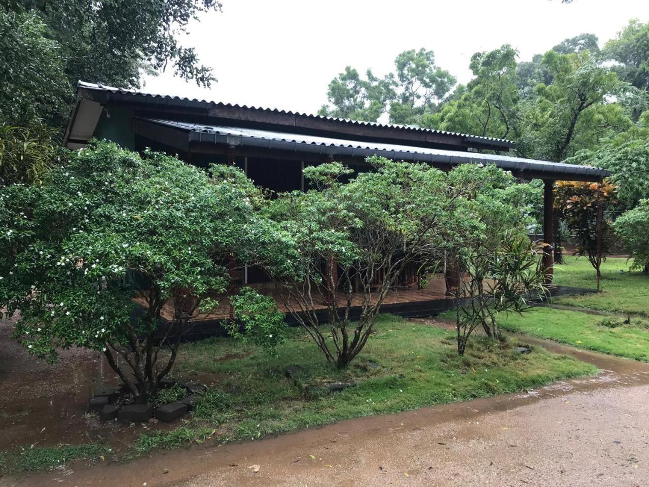 Greenwood Hotel Sigiriya Buitenkant foto