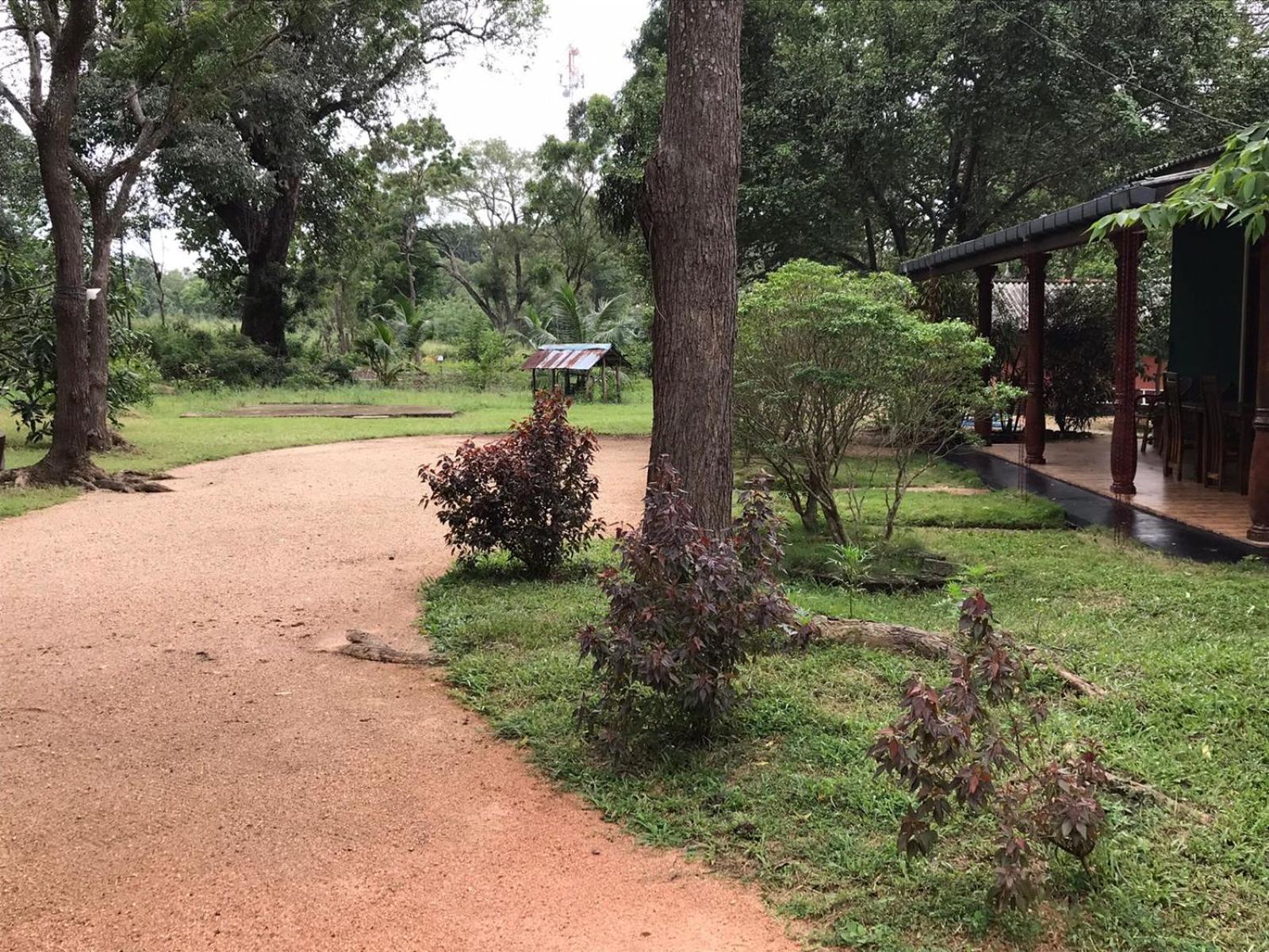 Greenwood Hotel Sigiriya Buitenkant foto