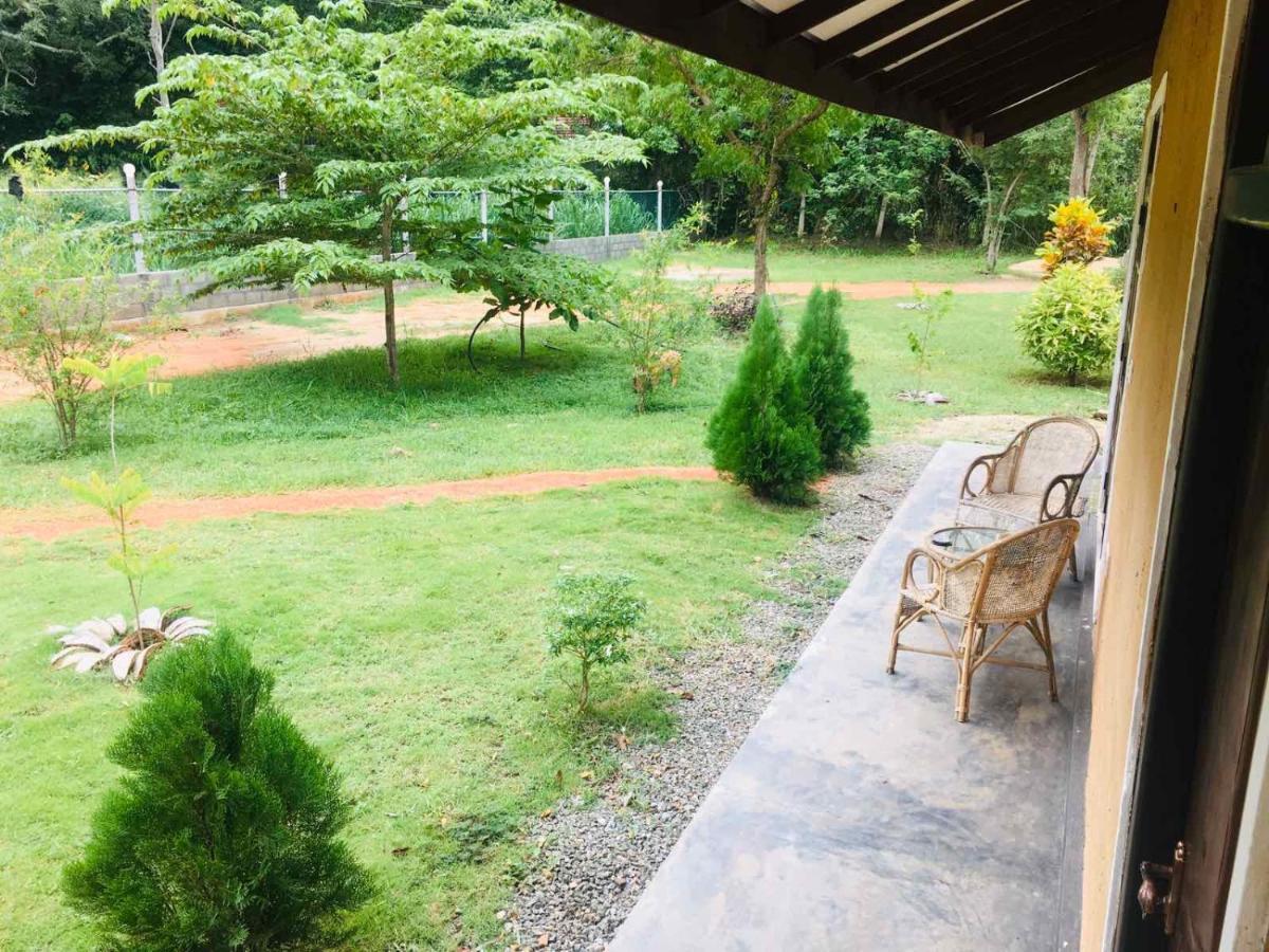Greenwood Hotel Sigiriya Buitenkant foto
