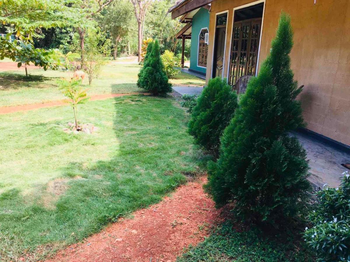 Greenwood Hotel Sigiriya Buitenkant foto