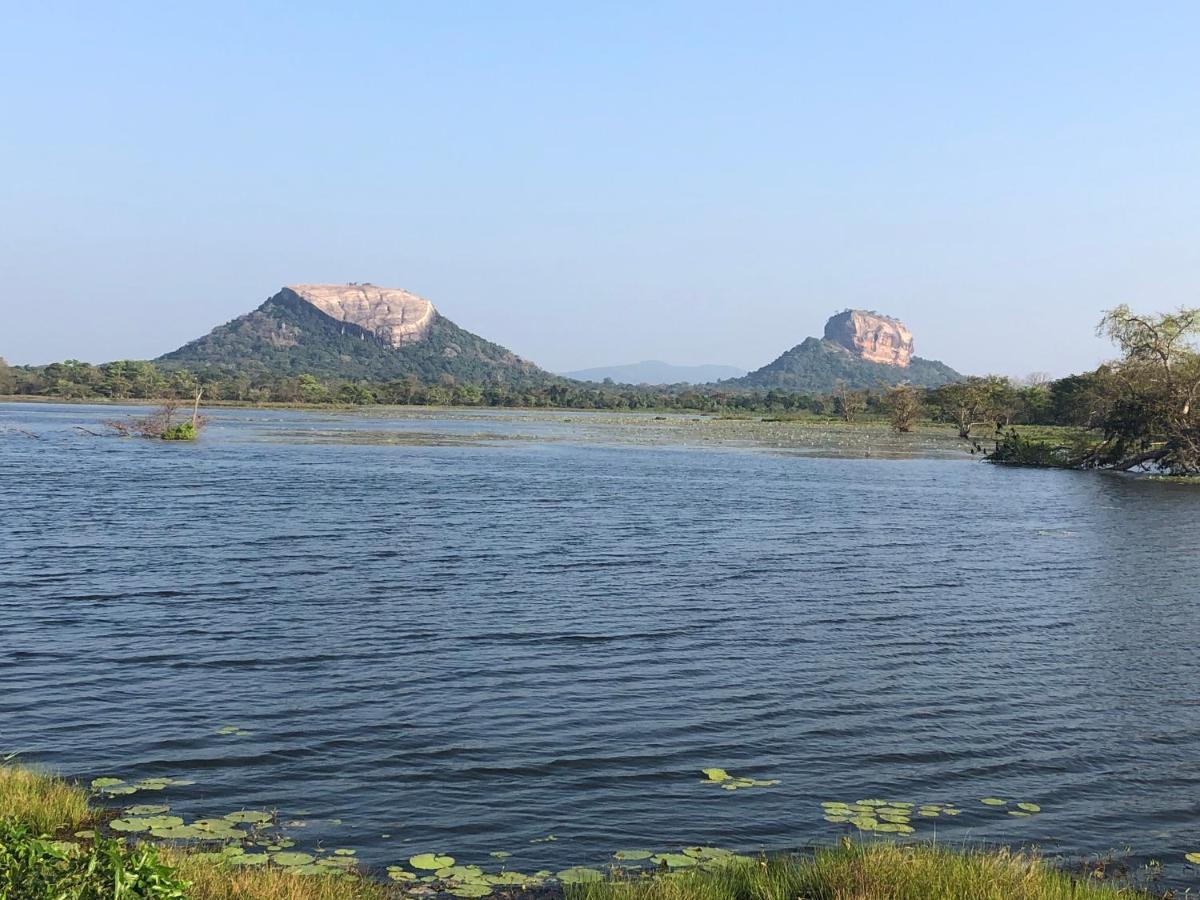Greenwood Hotel Sigiriya Buitenkant foto